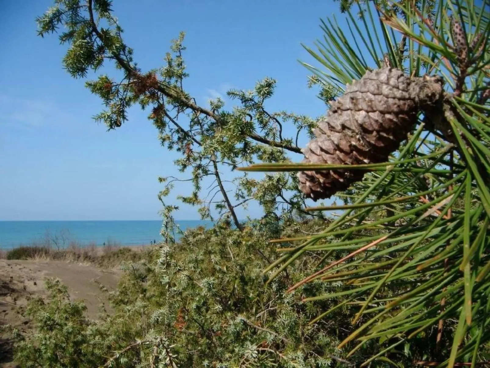 'Fresia' mit Pool-Buiten