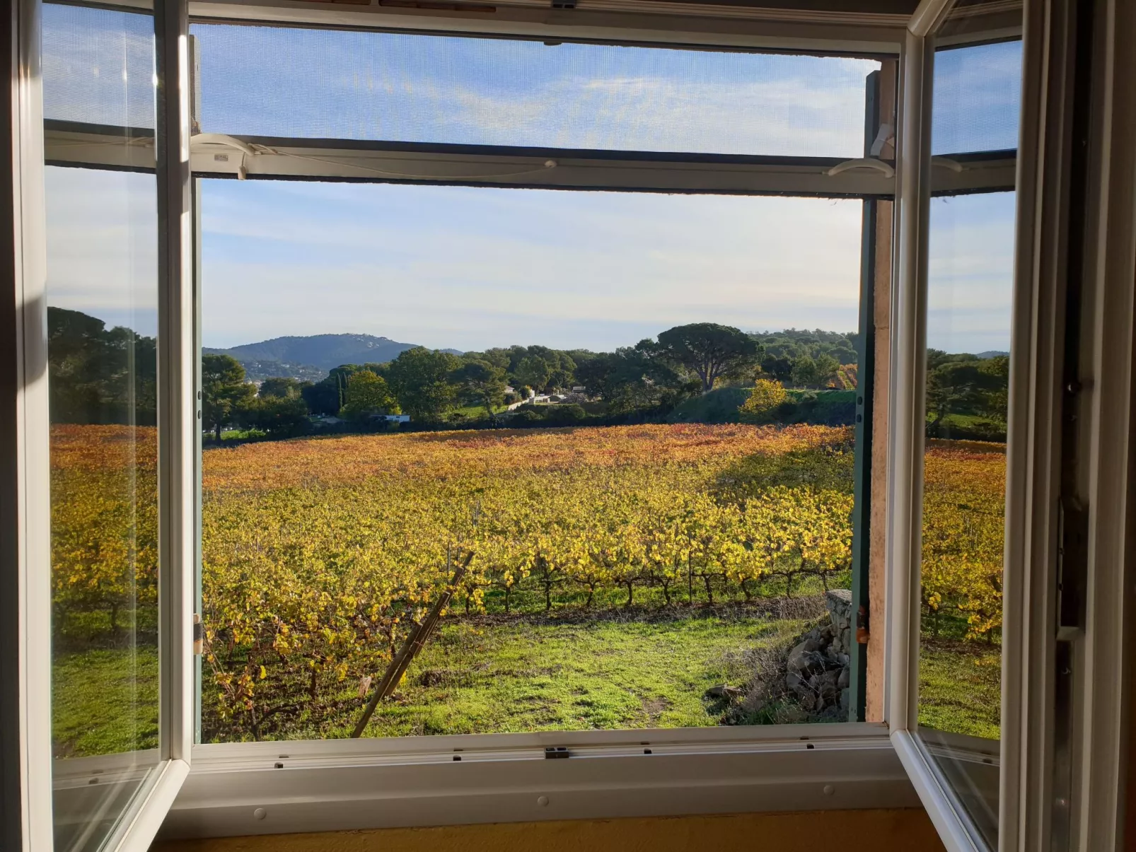 Im Herzen der Weinberge, schattige Terrasse umgeben von Grün, Pool - Buiten