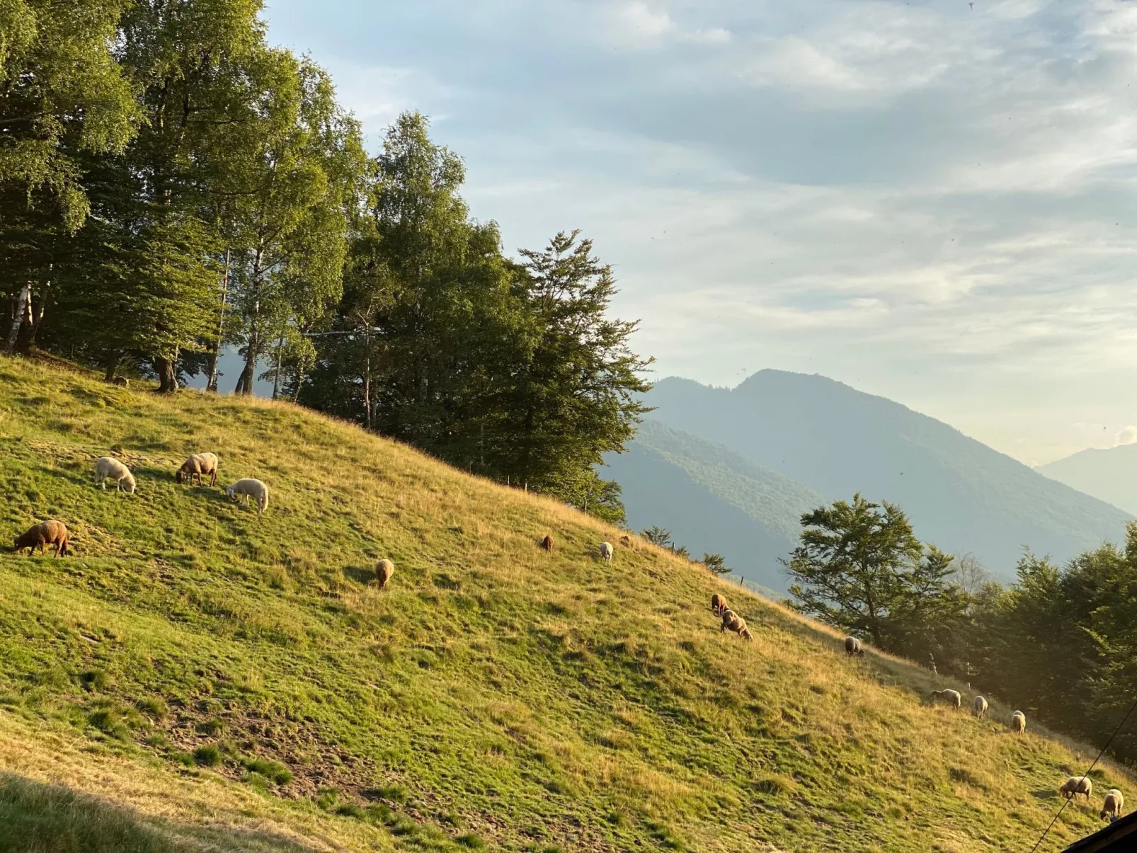 Typisches Tessiner Landleben im Centovalli-Buiten