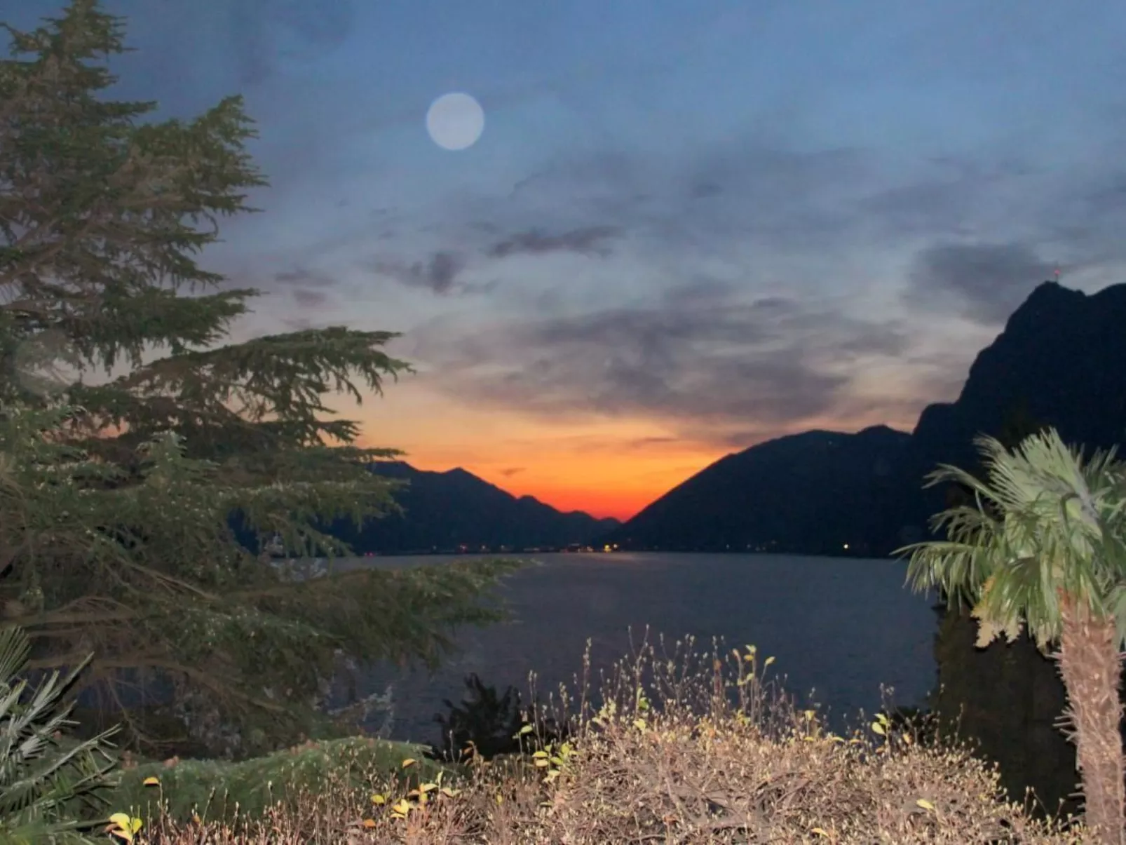 Garten-Wohnung-Buiten