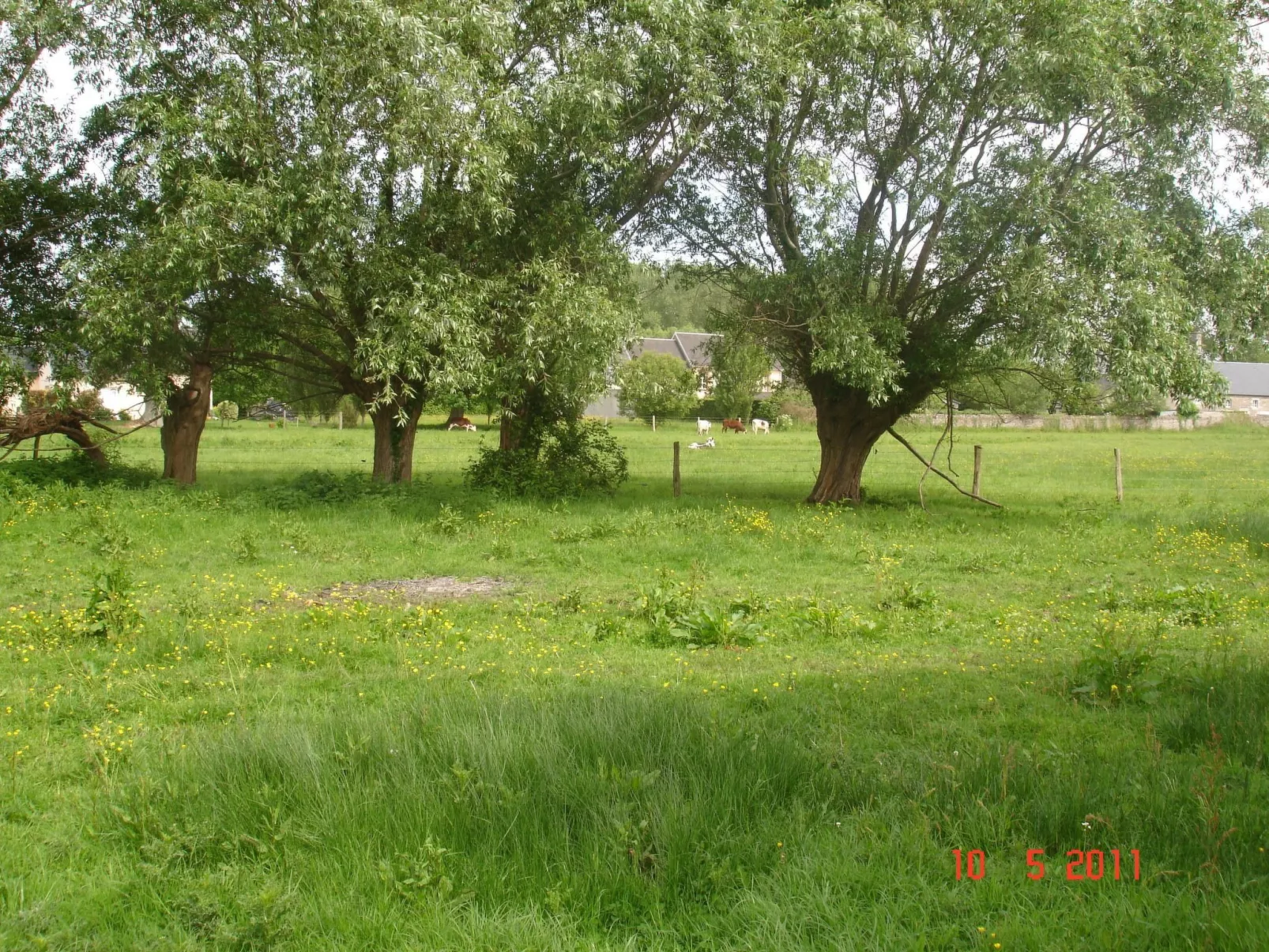 "Pavillon" mit eigenem Parkplatz-Image-tags.info