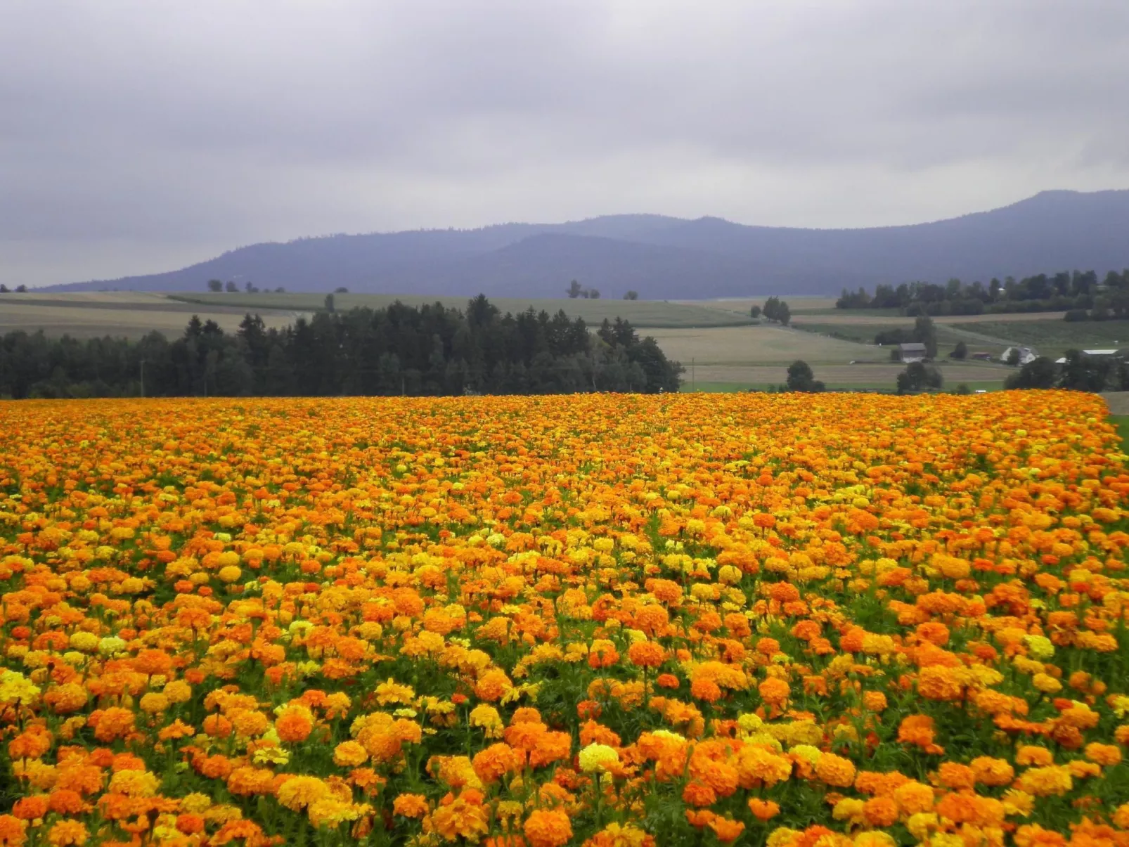 Am Weißenstädter See-Image-tags.info