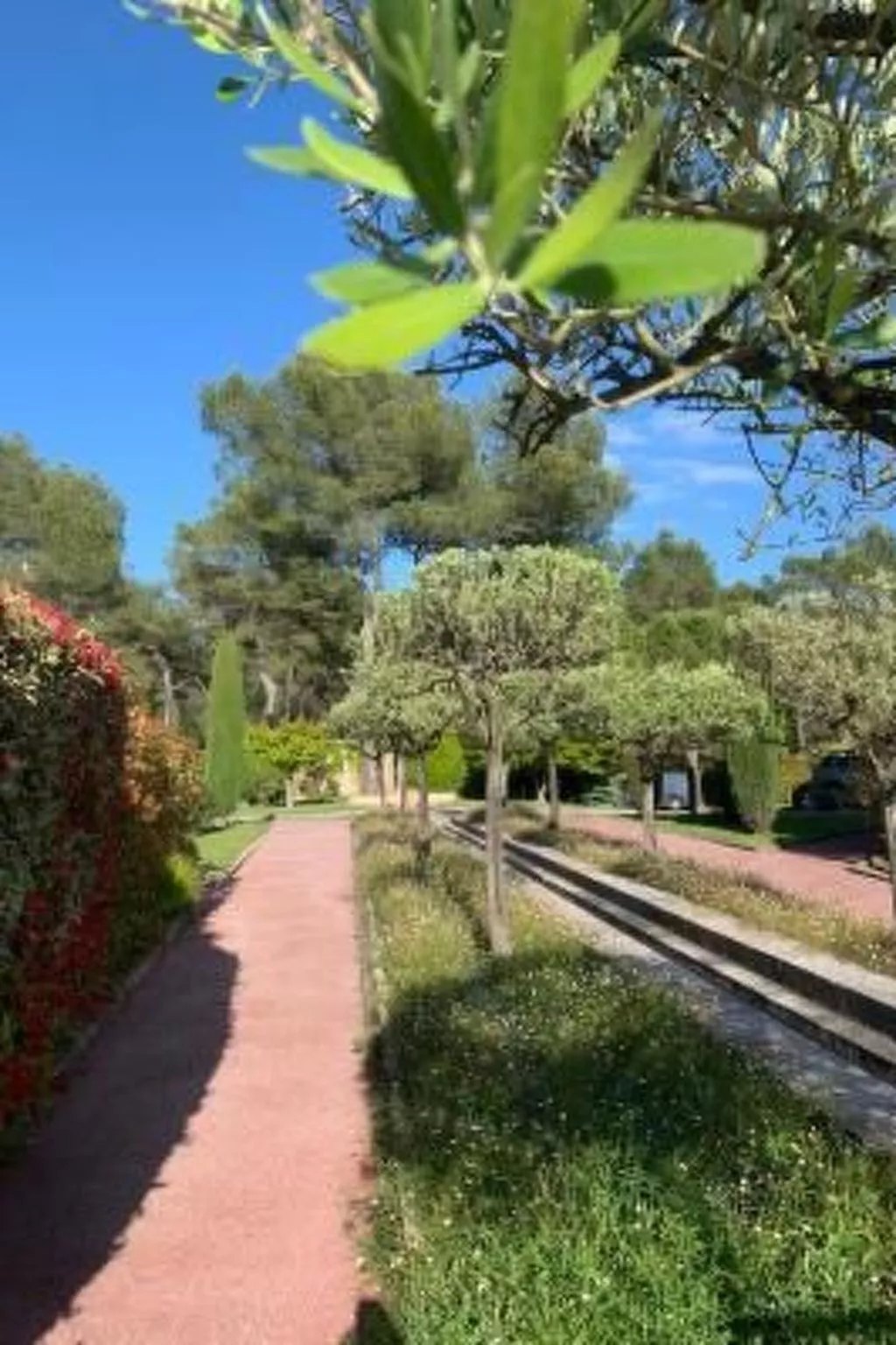 Moderne Wohnung in Mougins mit eigenem Garten-Buiten