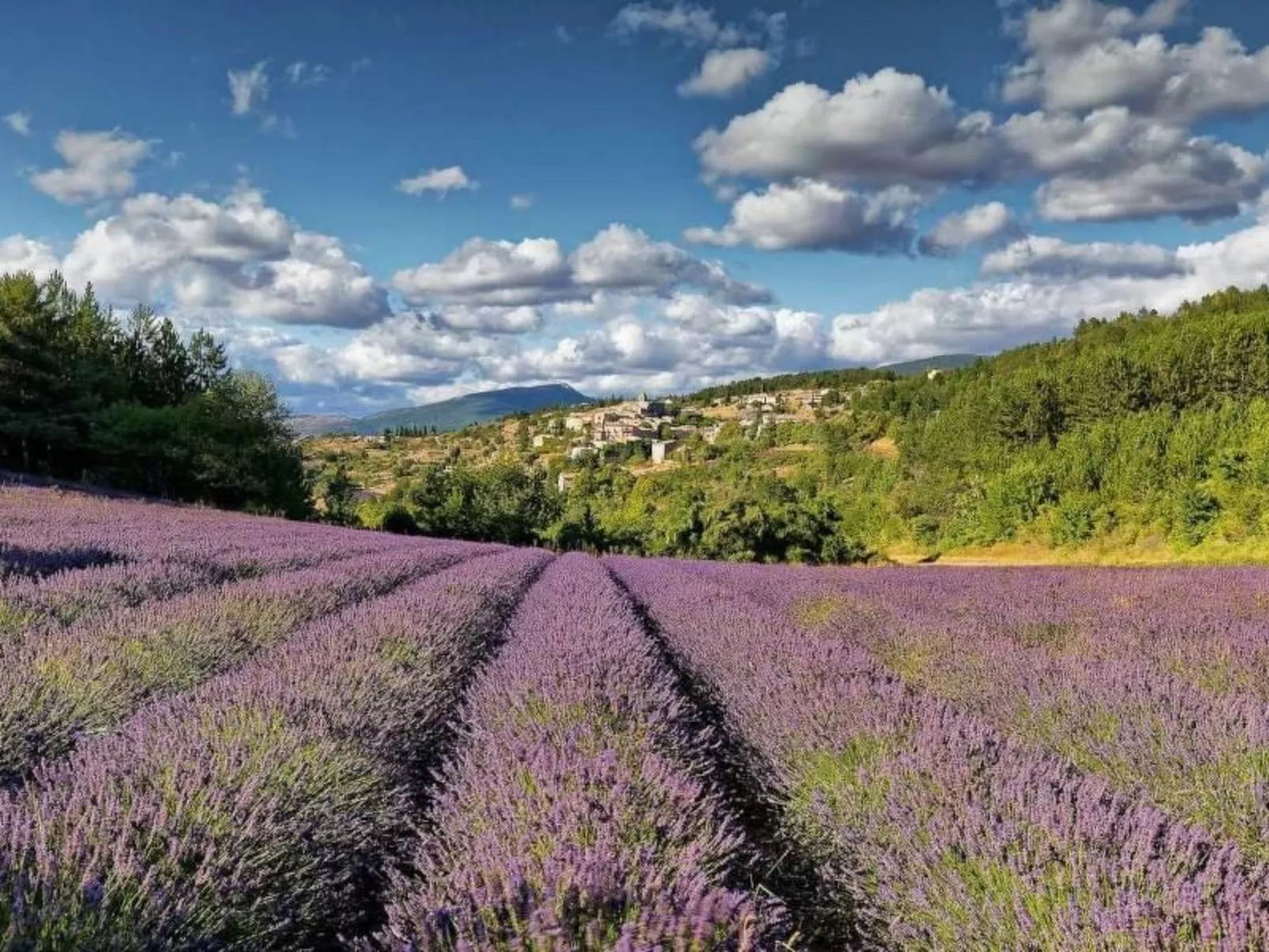 Villa Fleurie-Buiten