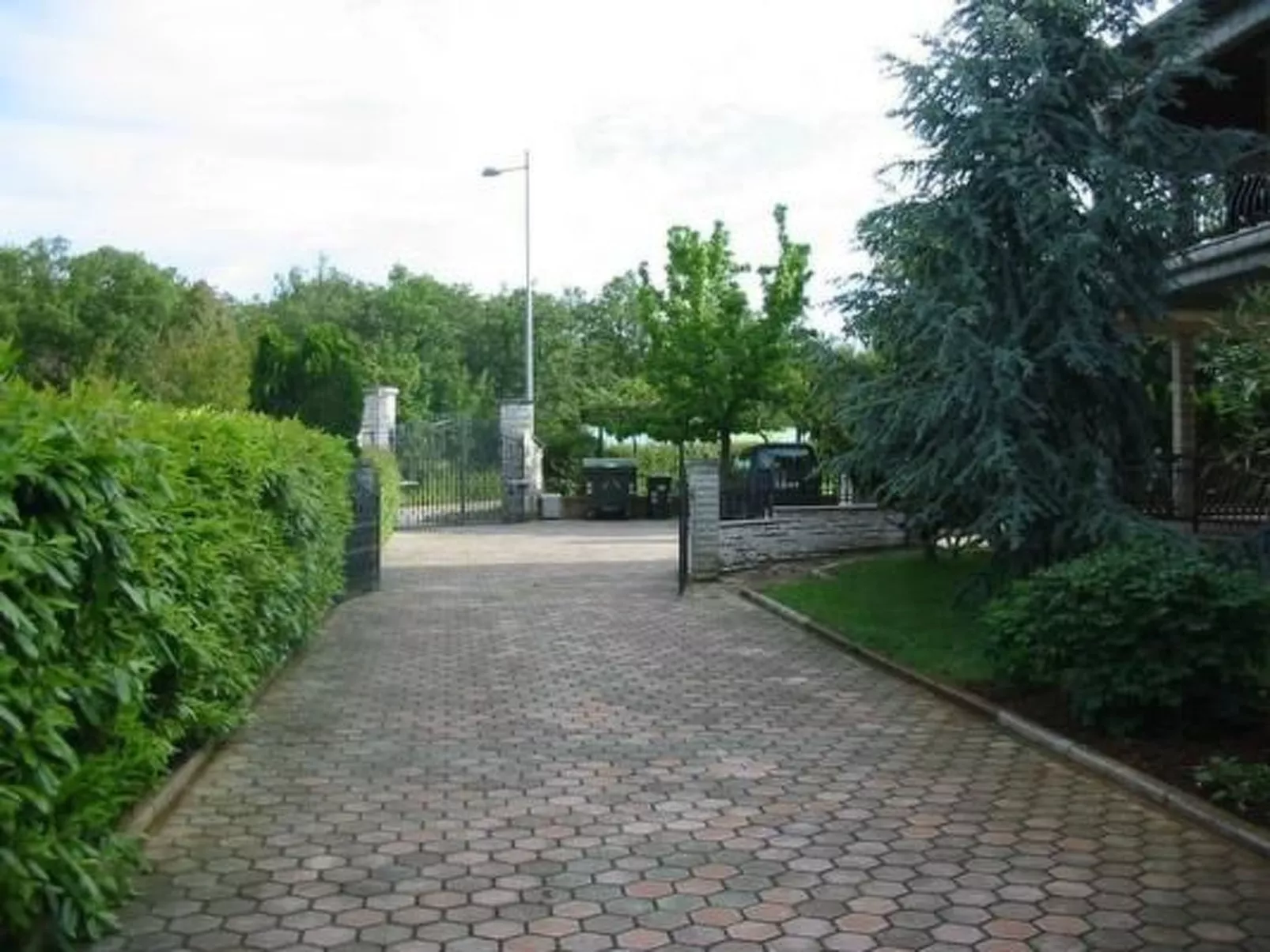 Rosmarin-Image-tags.info