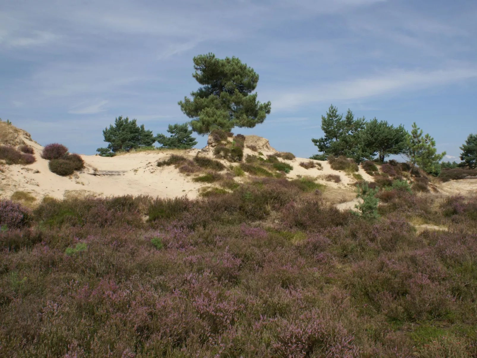 Geschmackvoll eingerichtetes Bauernhaus aus dem 19.-Buiten