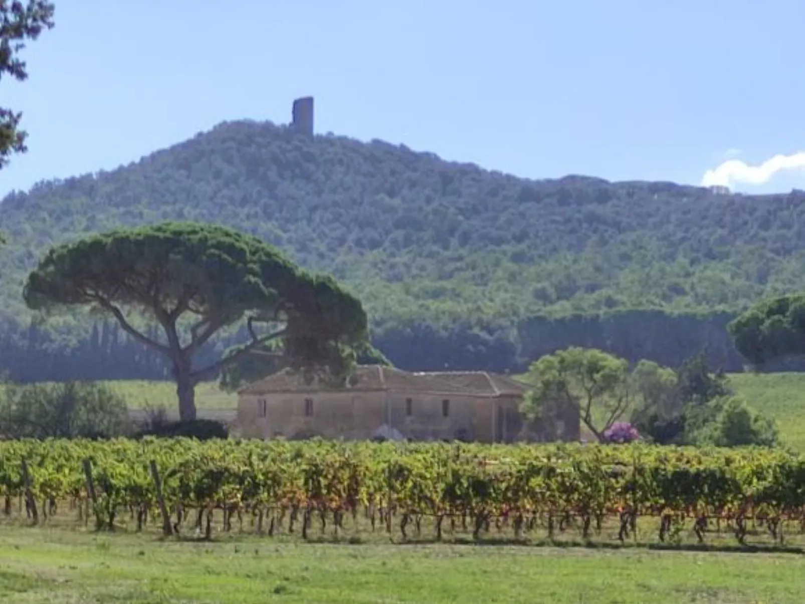 Bungalow aus Holz mit Veranda und nah am Strand.