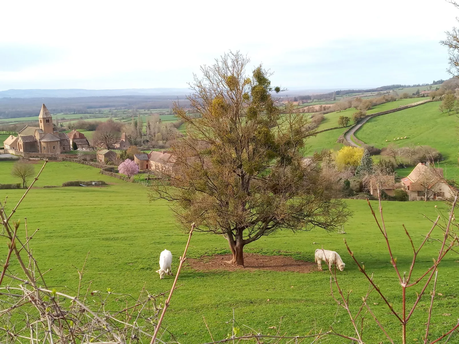 An der Weinstraße von Burgund-Buiten