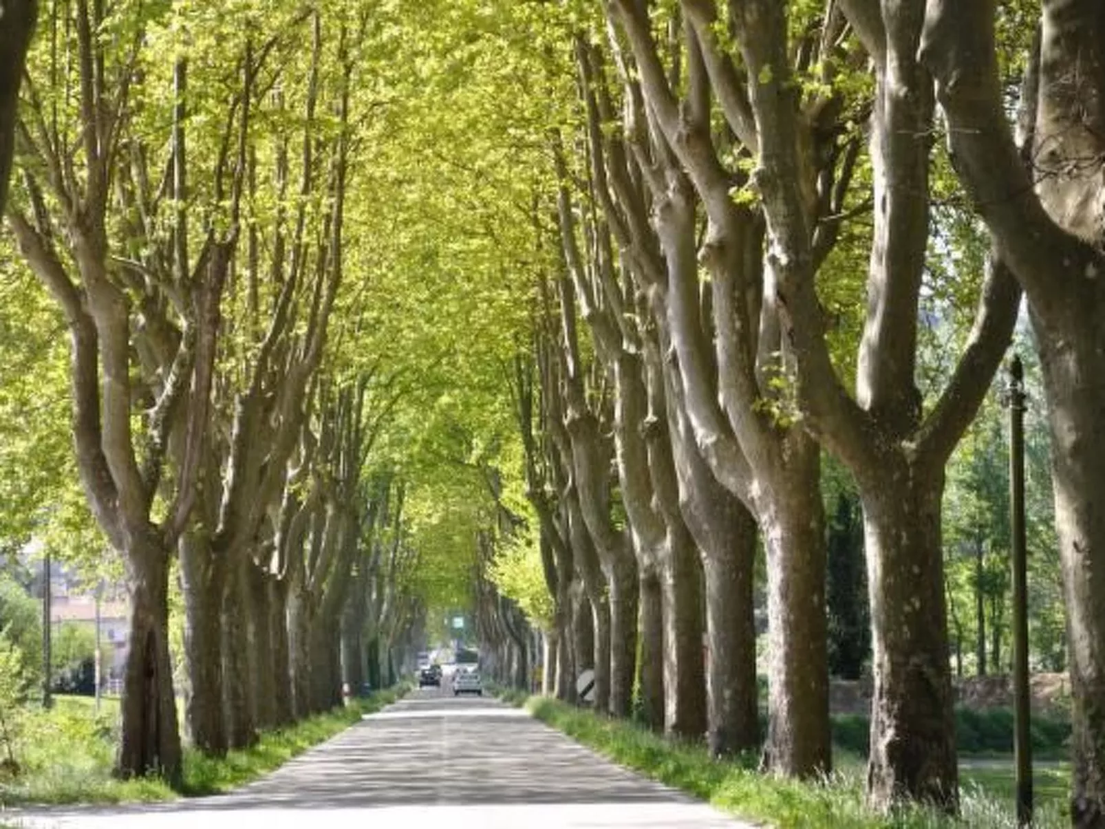 FERIENHAUS, FERIENHAUS "MAISON DE LAVANDE" (LAVENDELHAUS)-Buiten