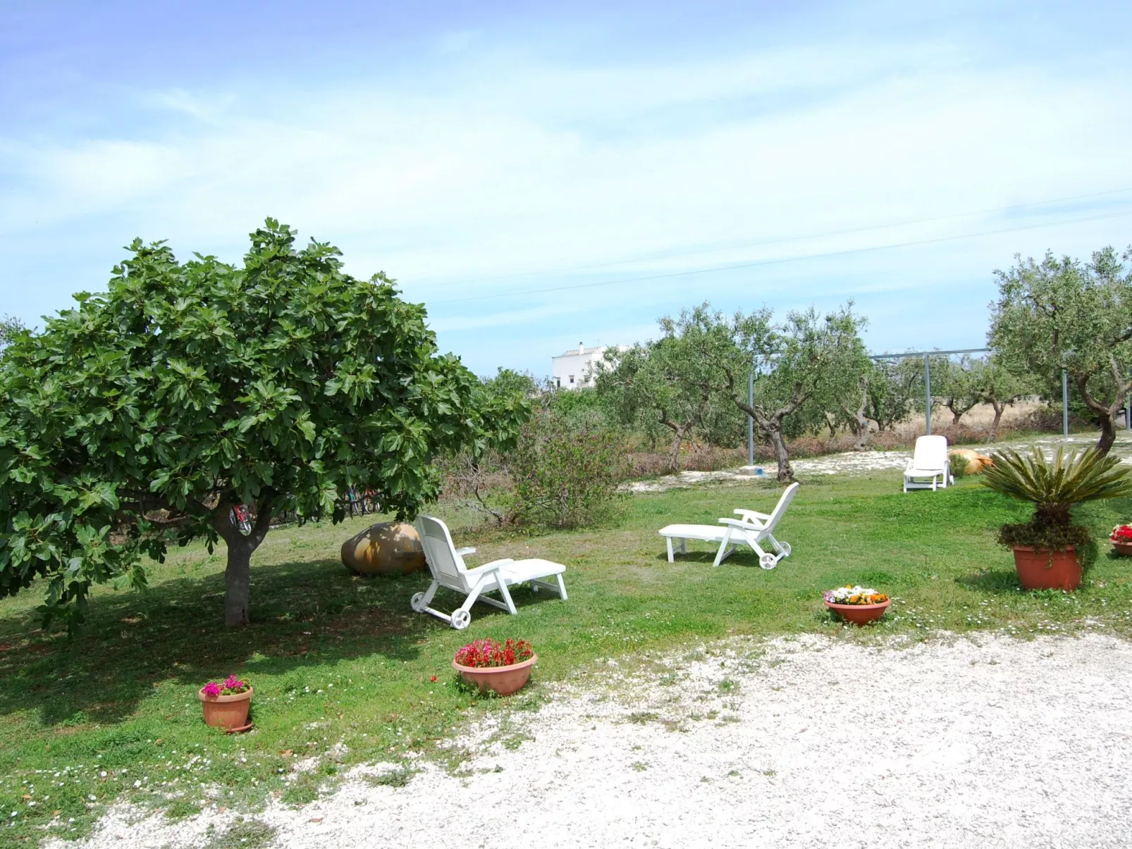 ARANCIONE-Image-tags.info