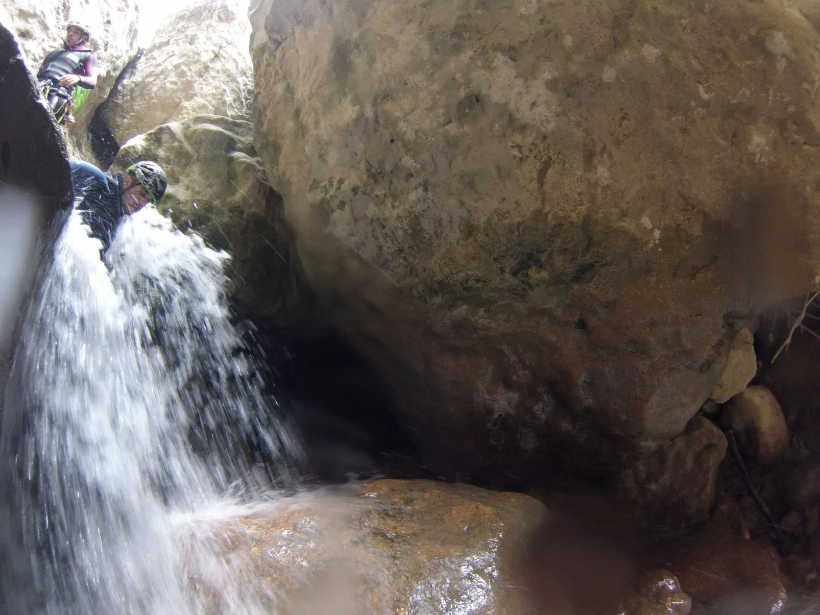 Javier Haus-Image-tags.info