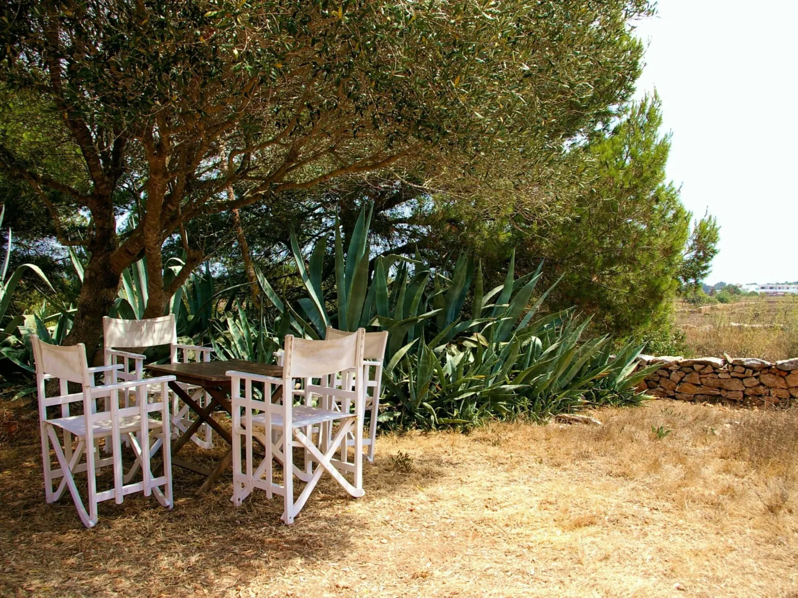 San Ferran - Image-tags.info