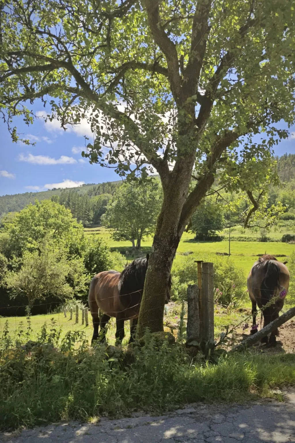 "Galicia Retreat-Buiten