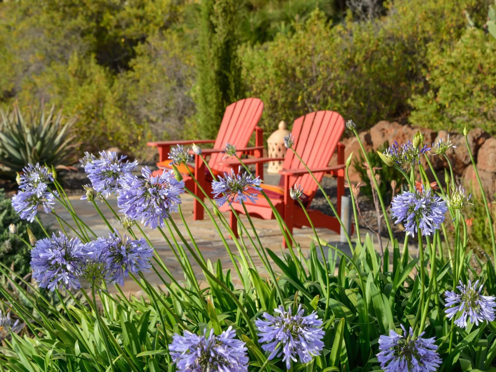 Villa Infinite Place-Buiten