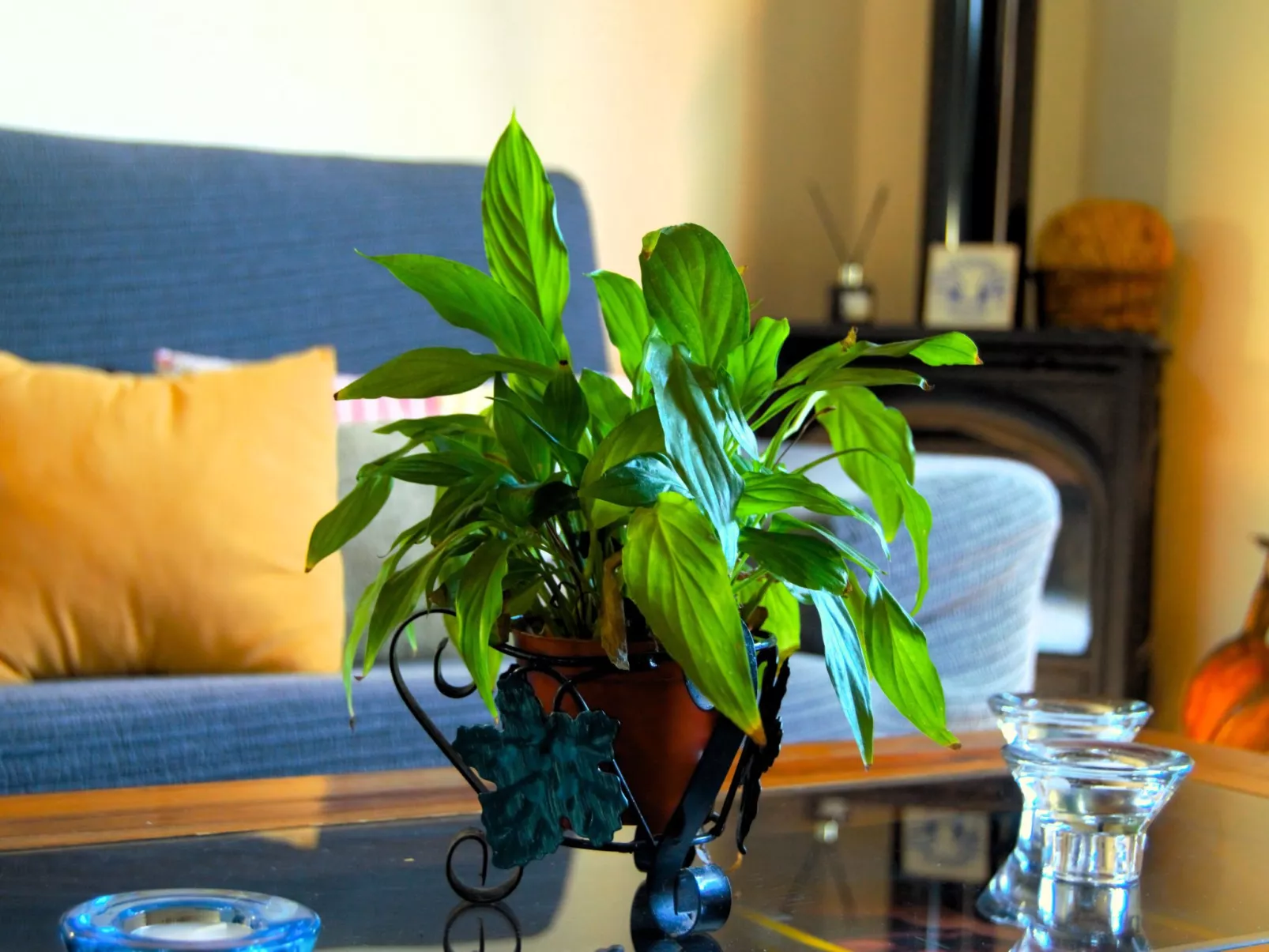 Mit Schwimmbad nur für Erwachsene-Image-tags.info