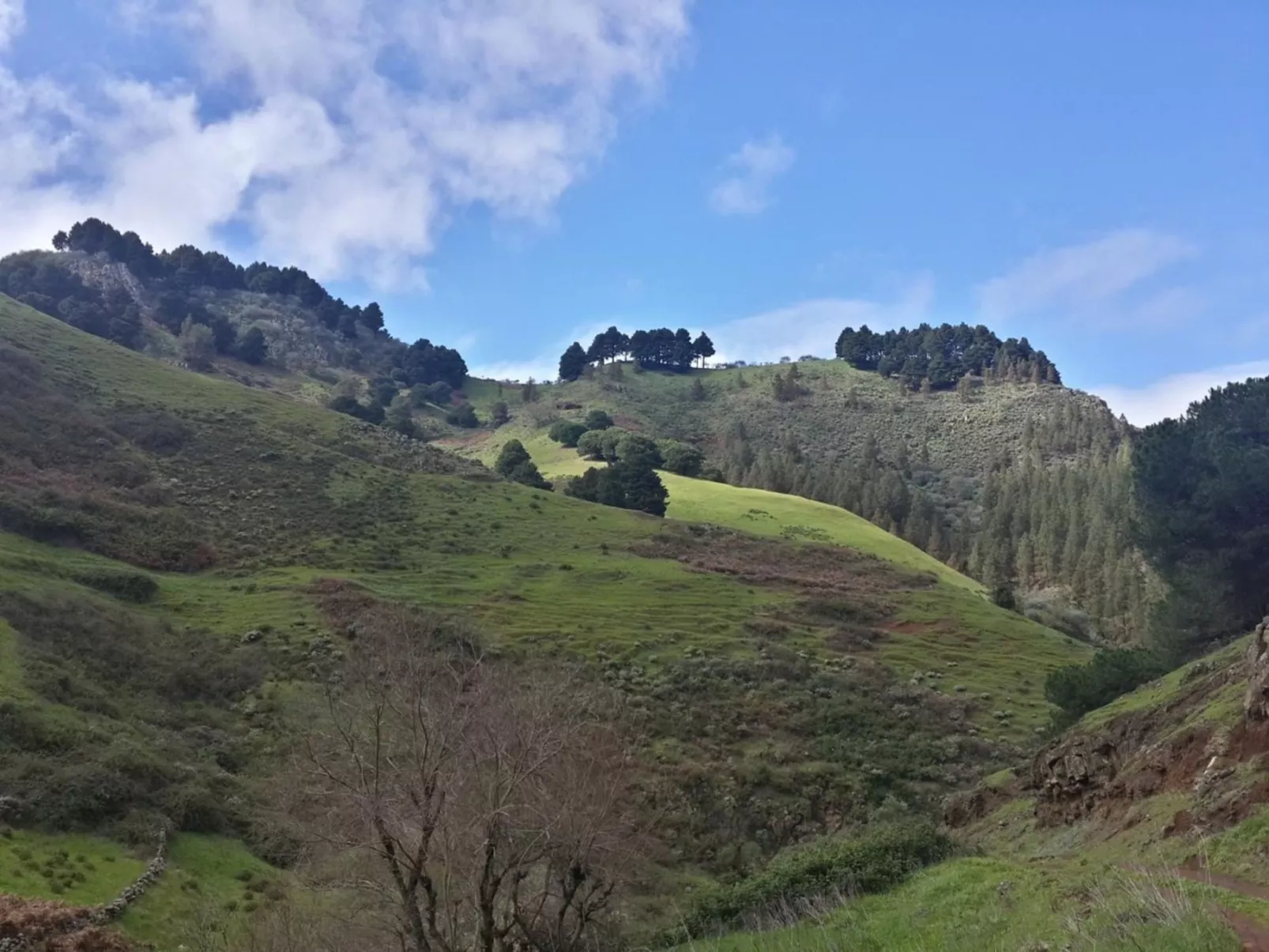 Landhaus "La Cabaña" mit Privatparkplatz-Buiten