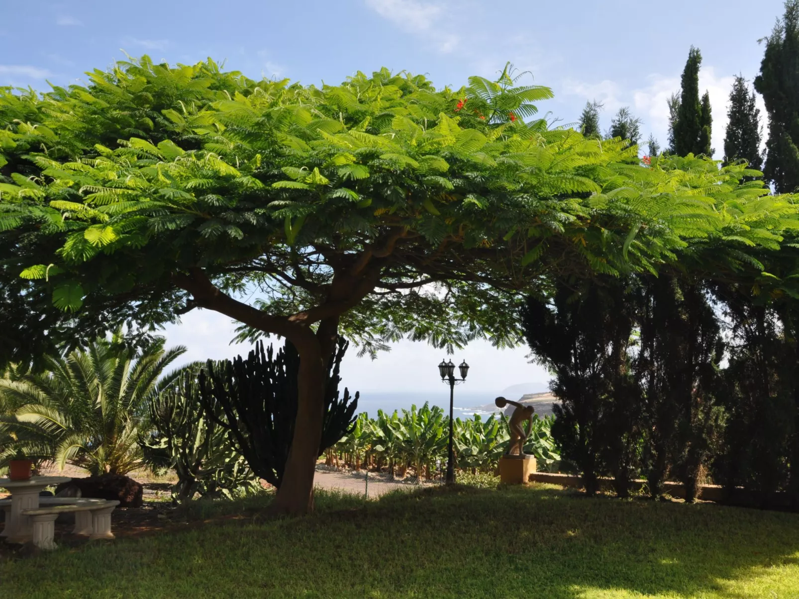 Finca "Hacienda" mit eigenem Schwimmbad-Image-tags.info