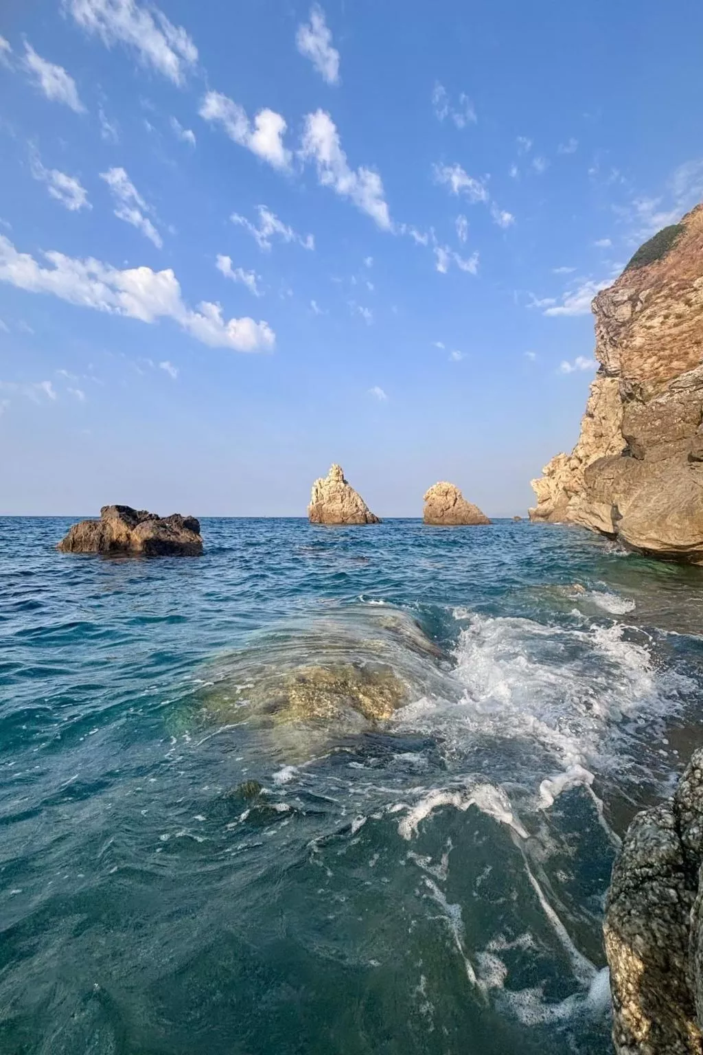 'The Garden-Image-tags.info