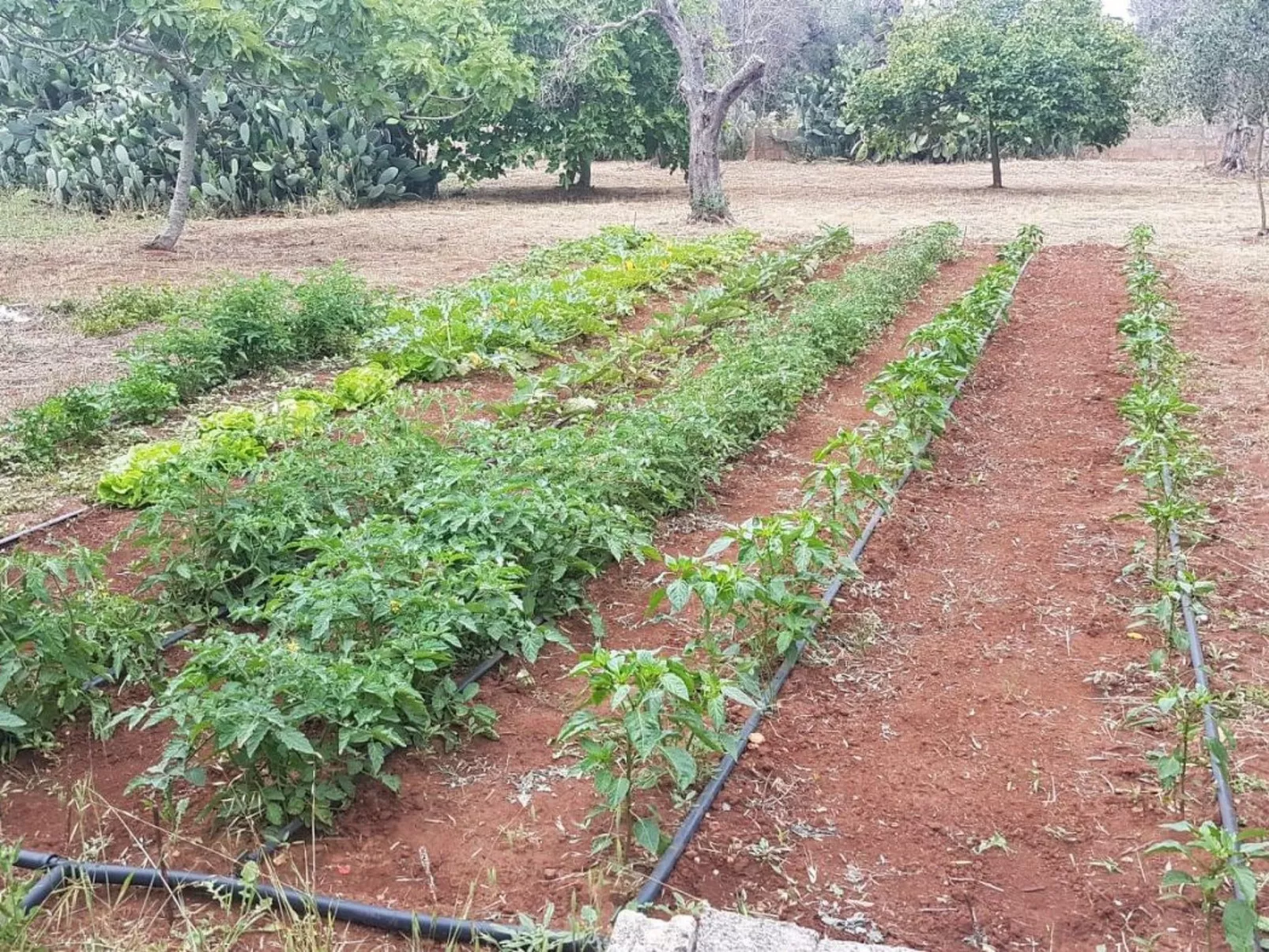 Villa Barone Landhaus mit Pool-Image-tags.info