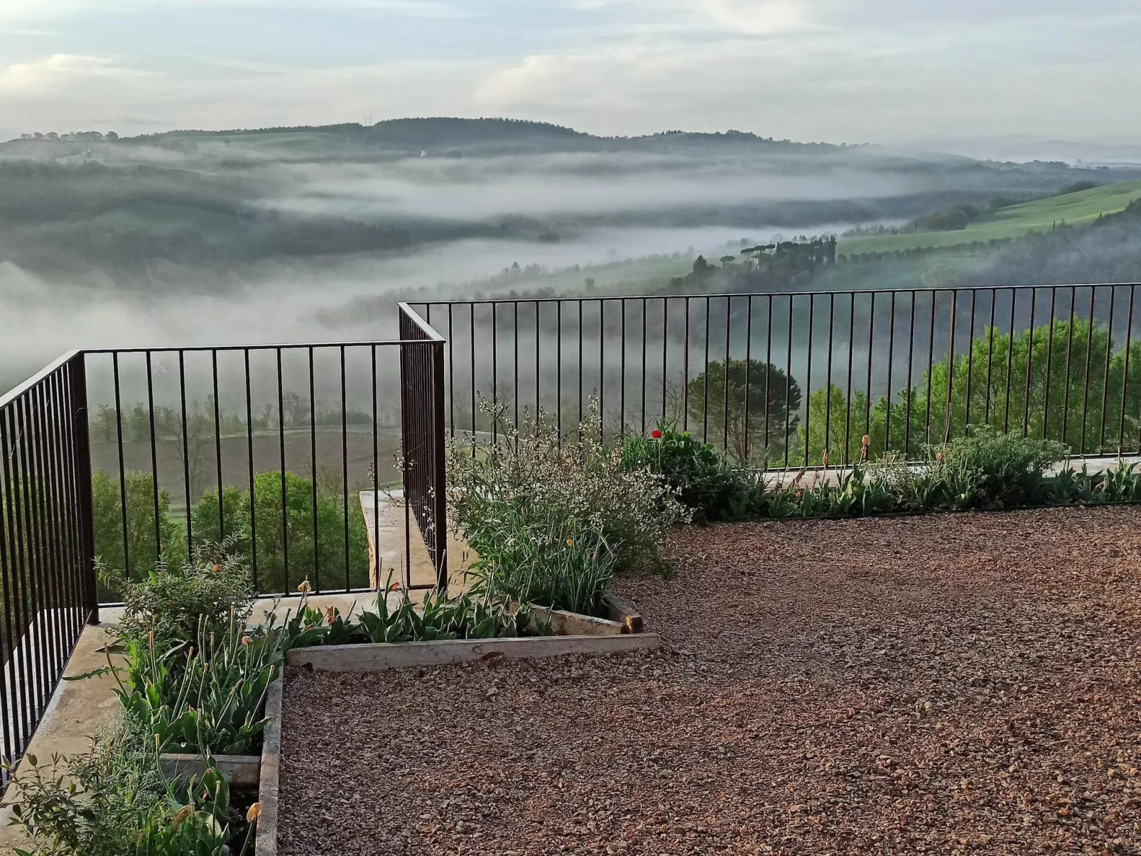 Das Walnusshaus-Buiten