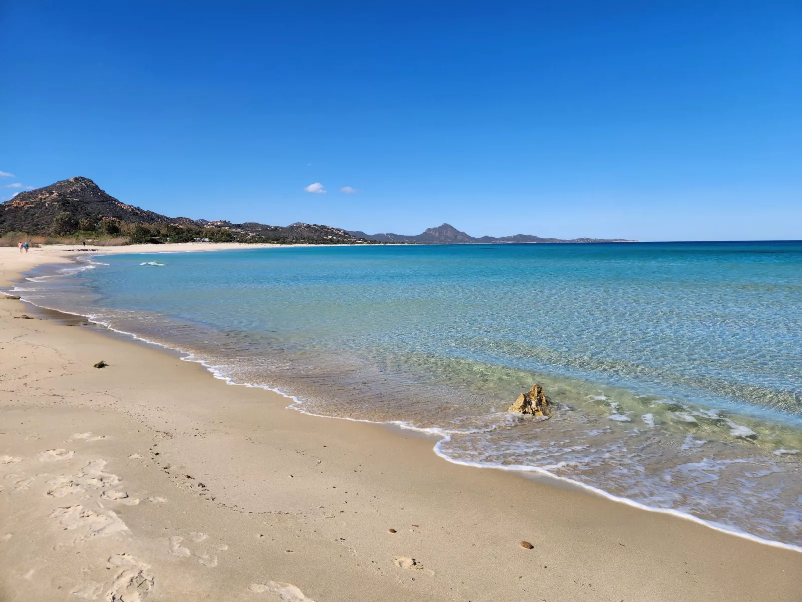 'Trilo Luna-Image-tags.info