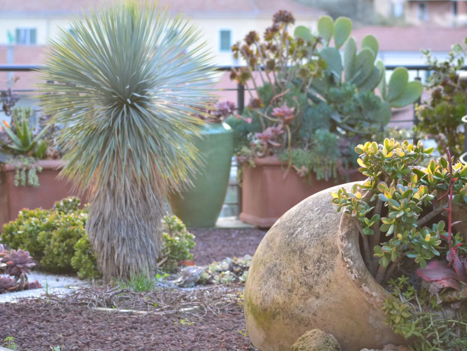 In Diano San Pietro-Buiten