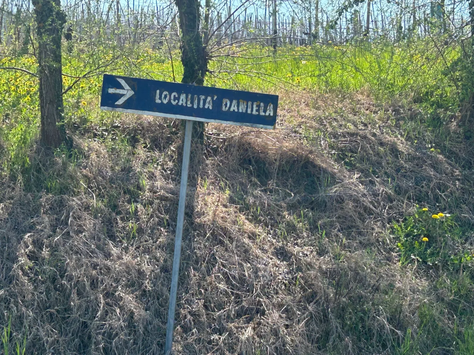 Casa il Cuore delle Langhe bei Holiday World-Buiten