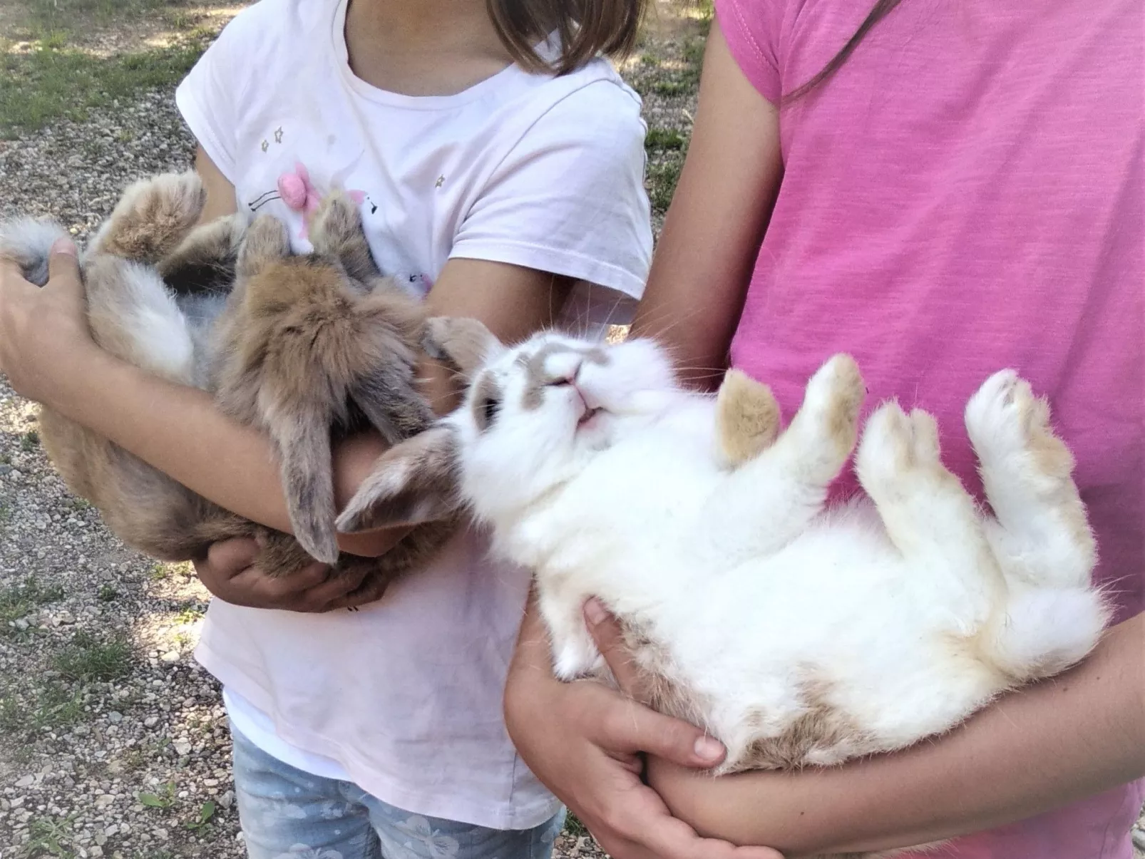 Das Landgut "Corte Canale Virgilio" mit Balkon-Image-tags.info