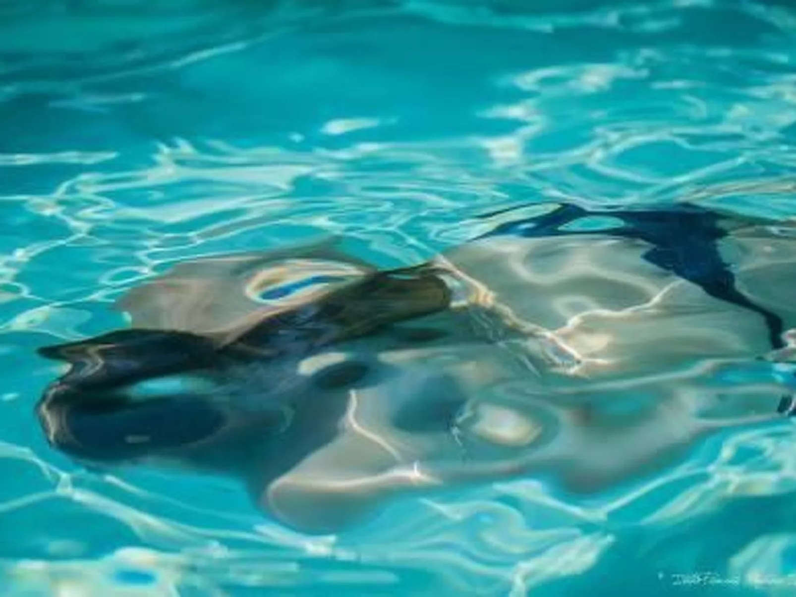 Villa Piemonte-Image-tags.info