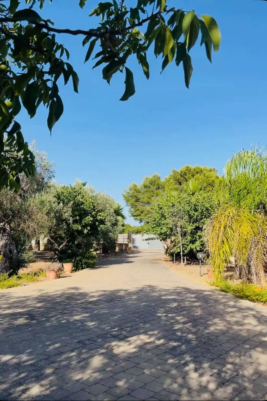 Ein erholsamer Urlaub zwischen Natur und Meer-Image-tags.info