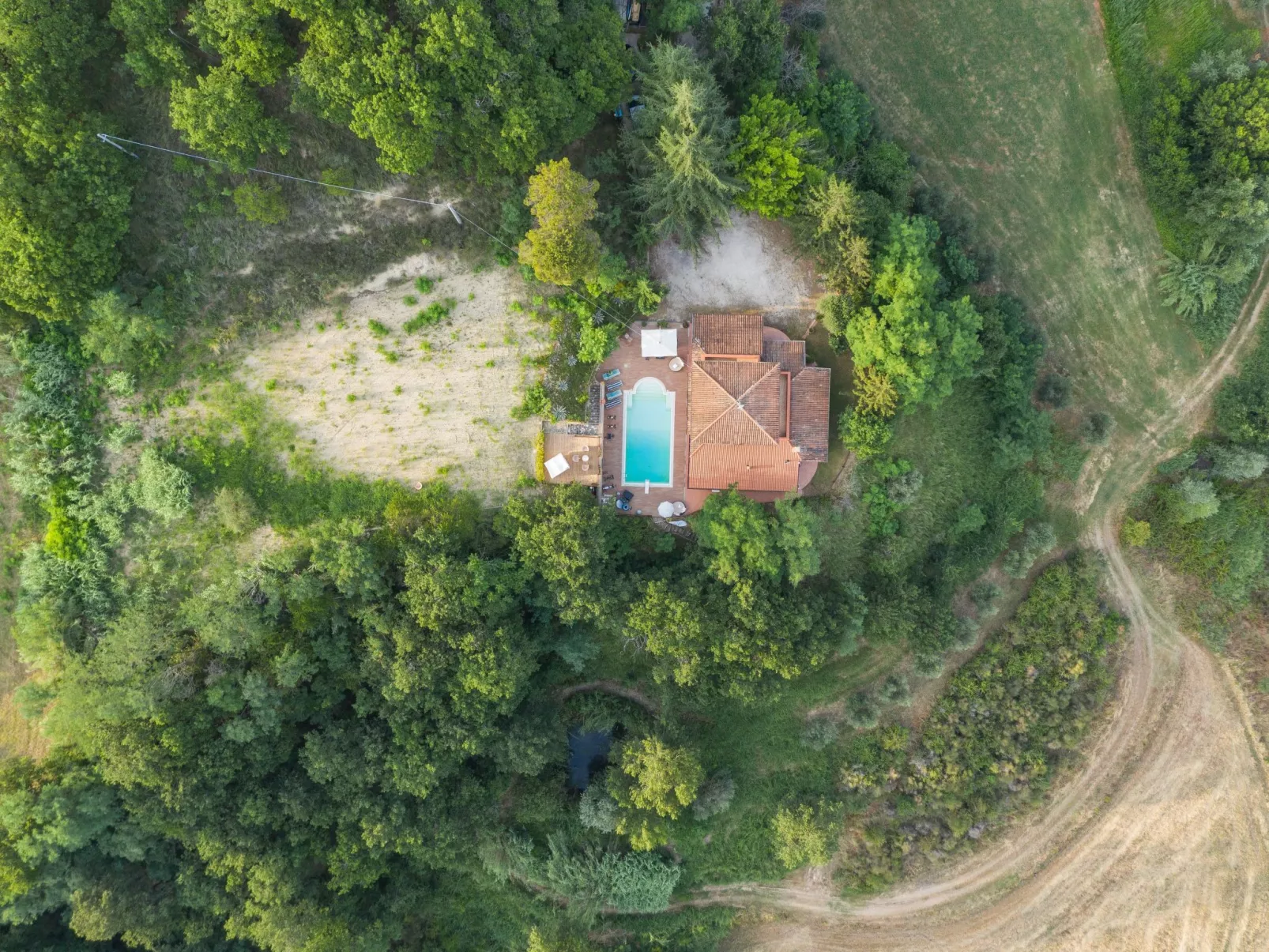 Landgut "TenutaQuarantaOlivi-Buiten