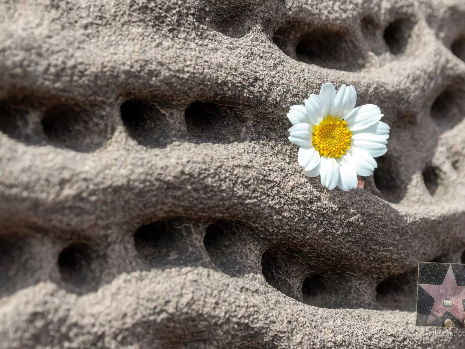 Villa Lucia mit Meerblick und Pool in Santo Tomas-Buiten