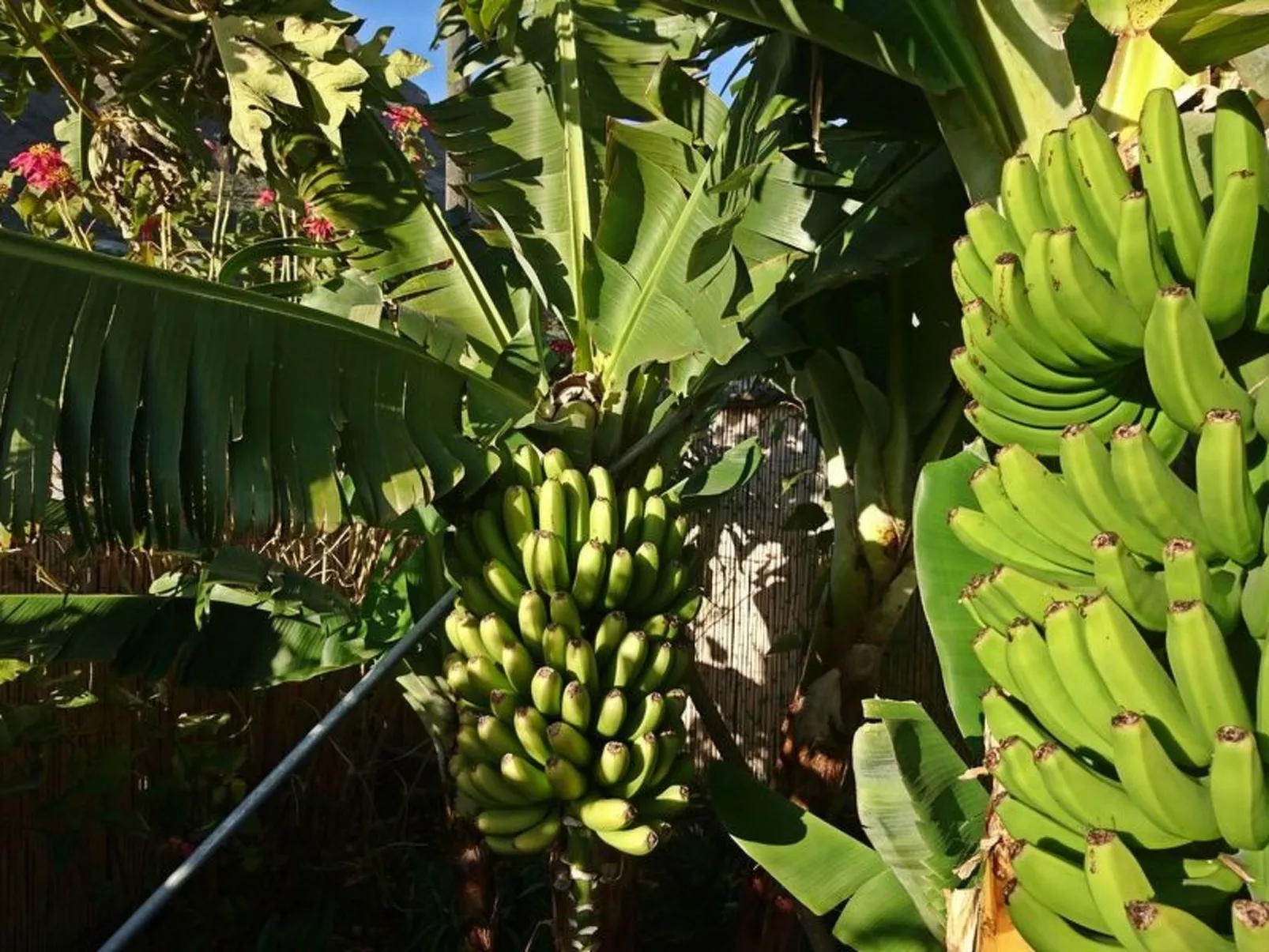 Haus Vista Caldera - Image-tags.info