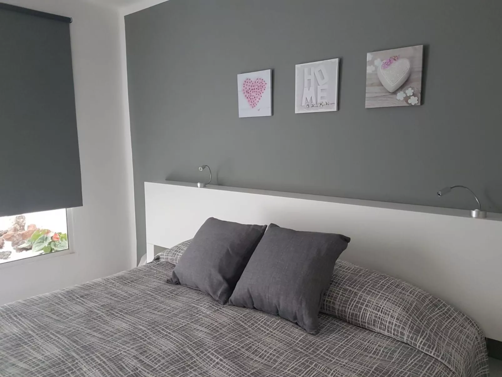 Widder vor dem Meer-Image-tags.info