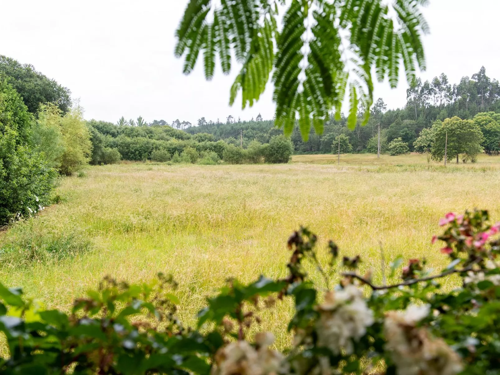 Villa "Casa dos Pazos" mit privatem Pool-Image-tags.info