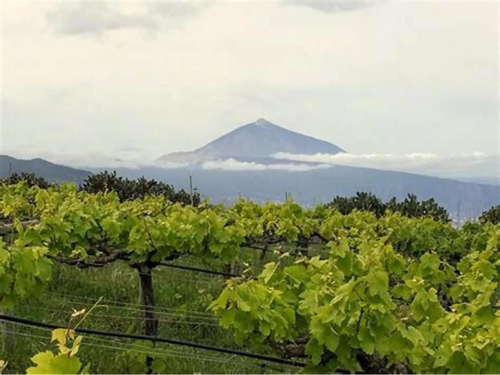 Finca "Sunny Scape Rural-Buiten