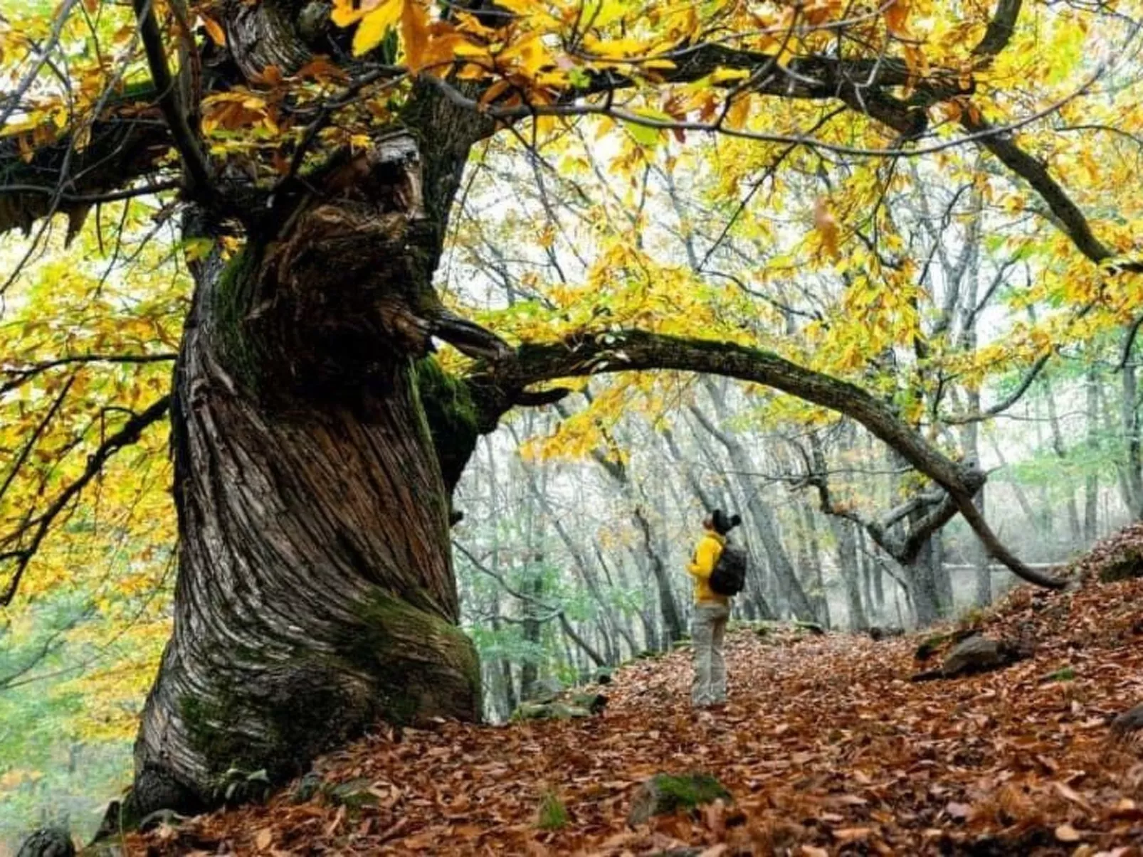 Ideales Refugium in Extremadura Komfort und Natur-Buiten