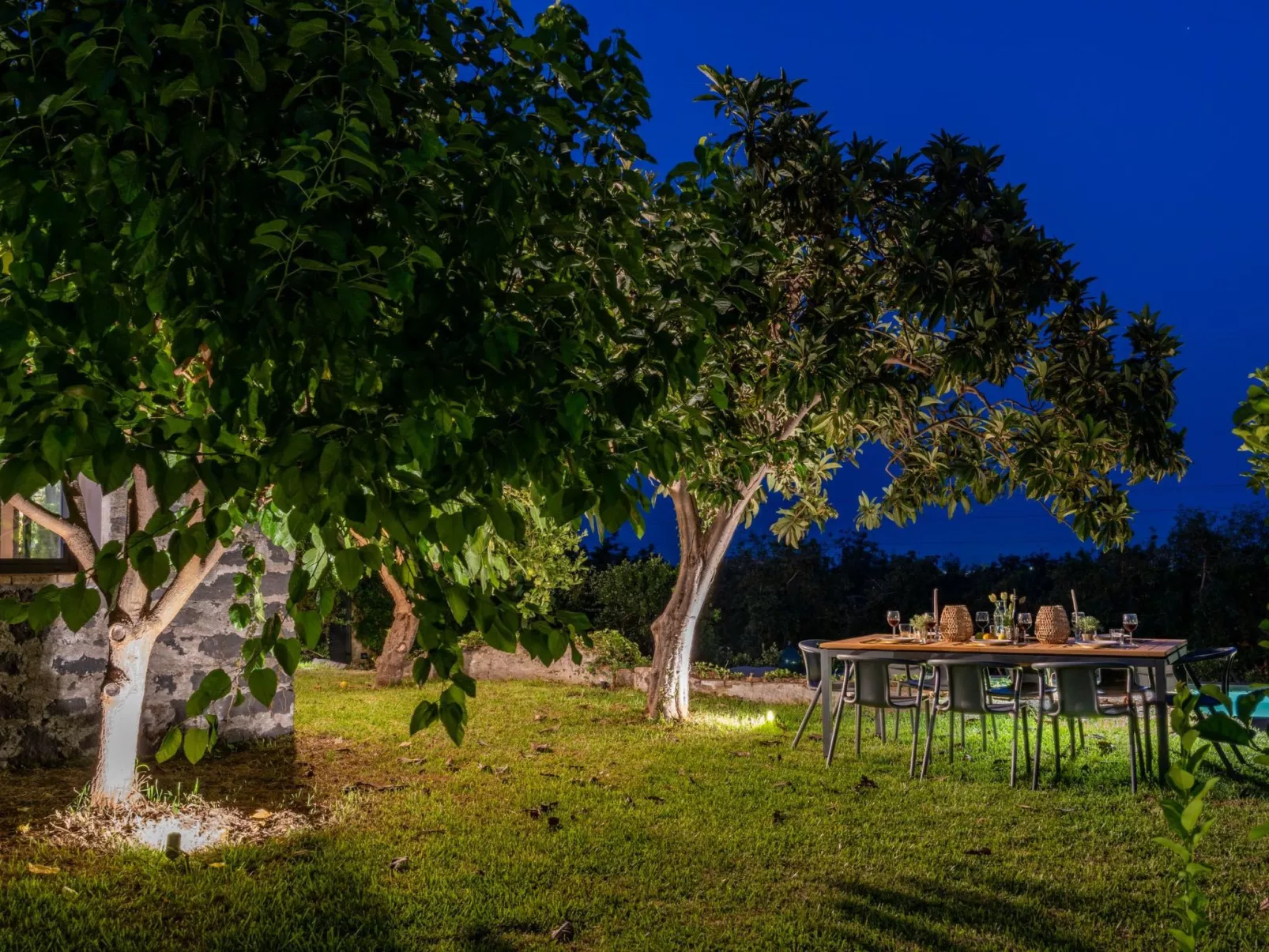 Avocado Garten-Image-tags.info