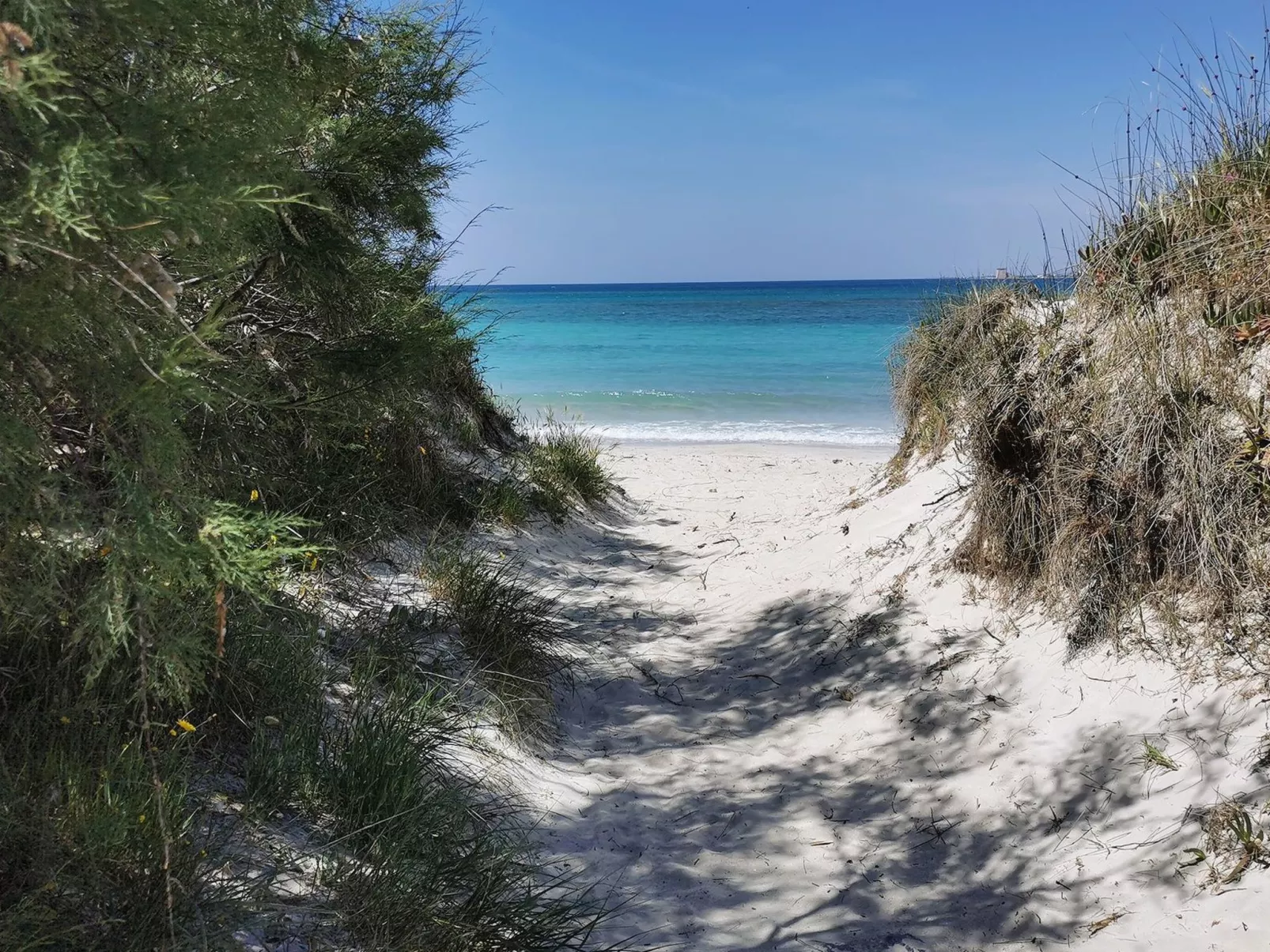 Suite Garden Plus-Buiten