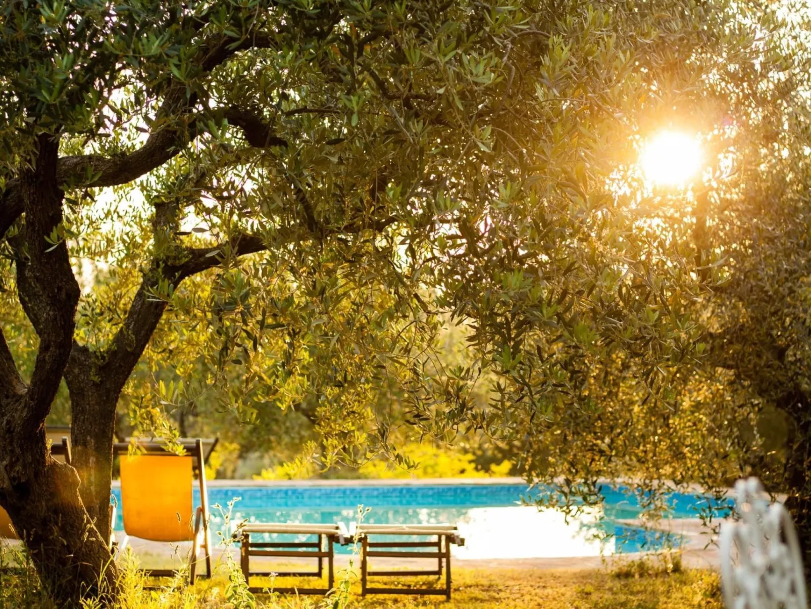 Drei-Zimmer-Panorama-Wohnung mit Terrasse und Sommerpool-Buiten