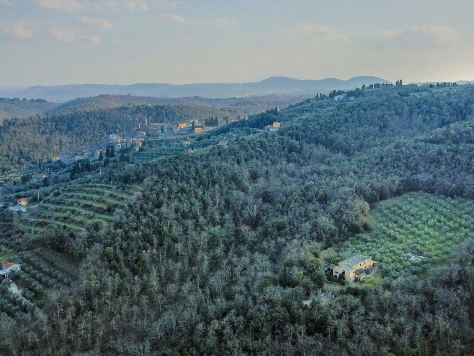 Podere Mencoini Elegante Villa mit Pool und Olivenbäumen-Image-tags.info