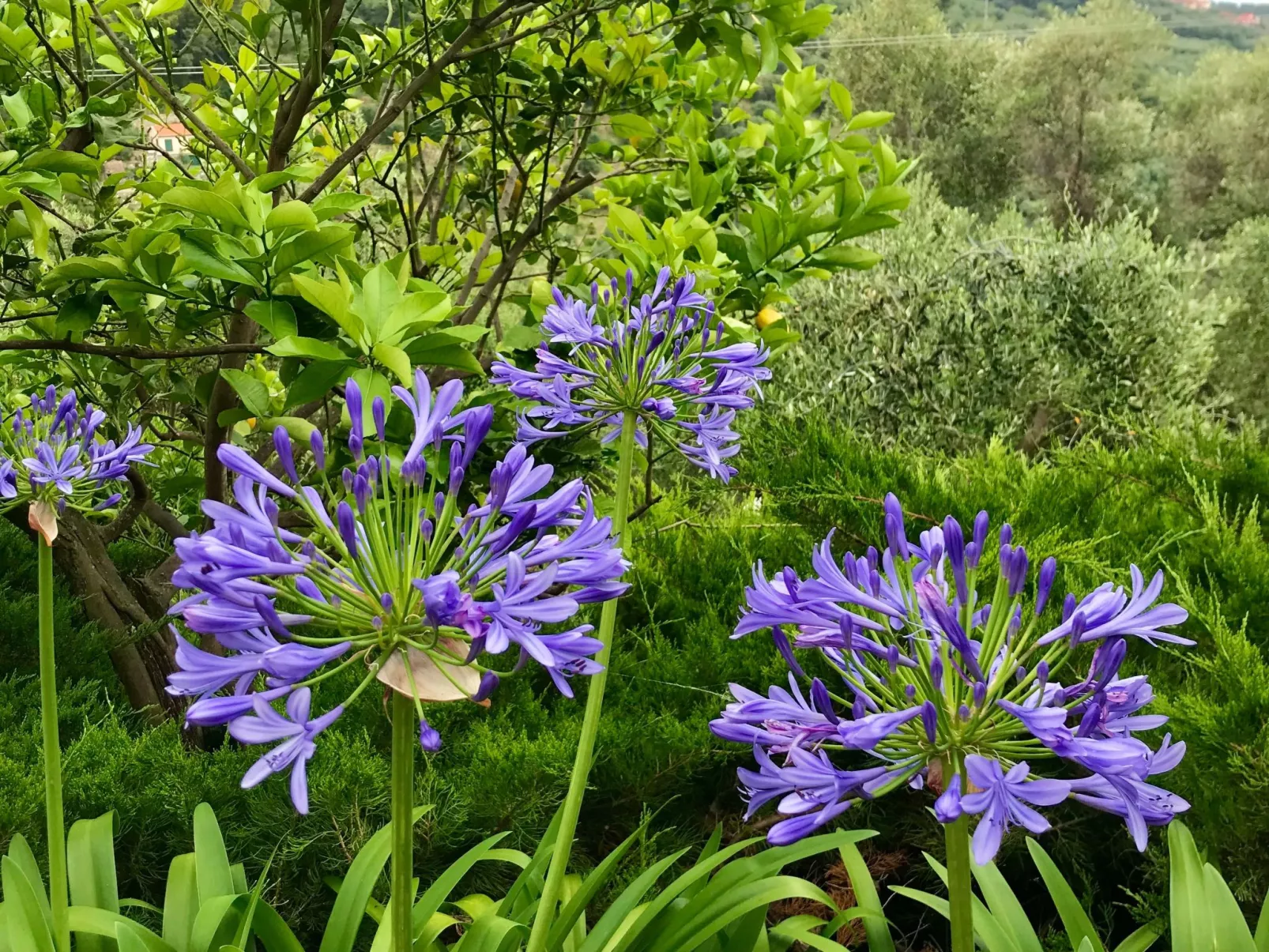 Casa Belvedere-Buiten