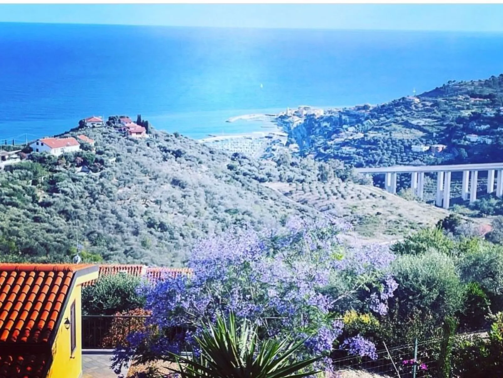 Bella Vista Poggi 180 Grad Fantastischer Meerblick-Image-tags.info