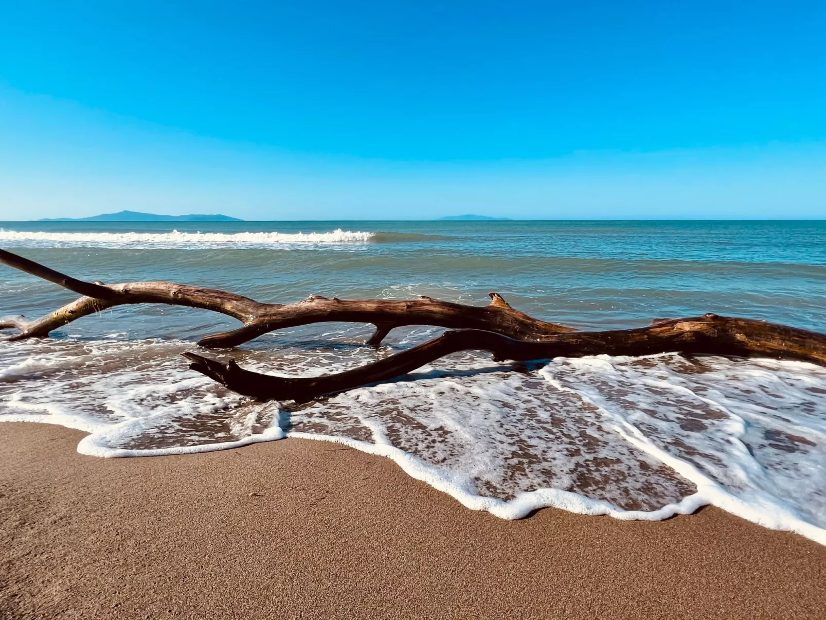 Wohnung Alborense-Buiten