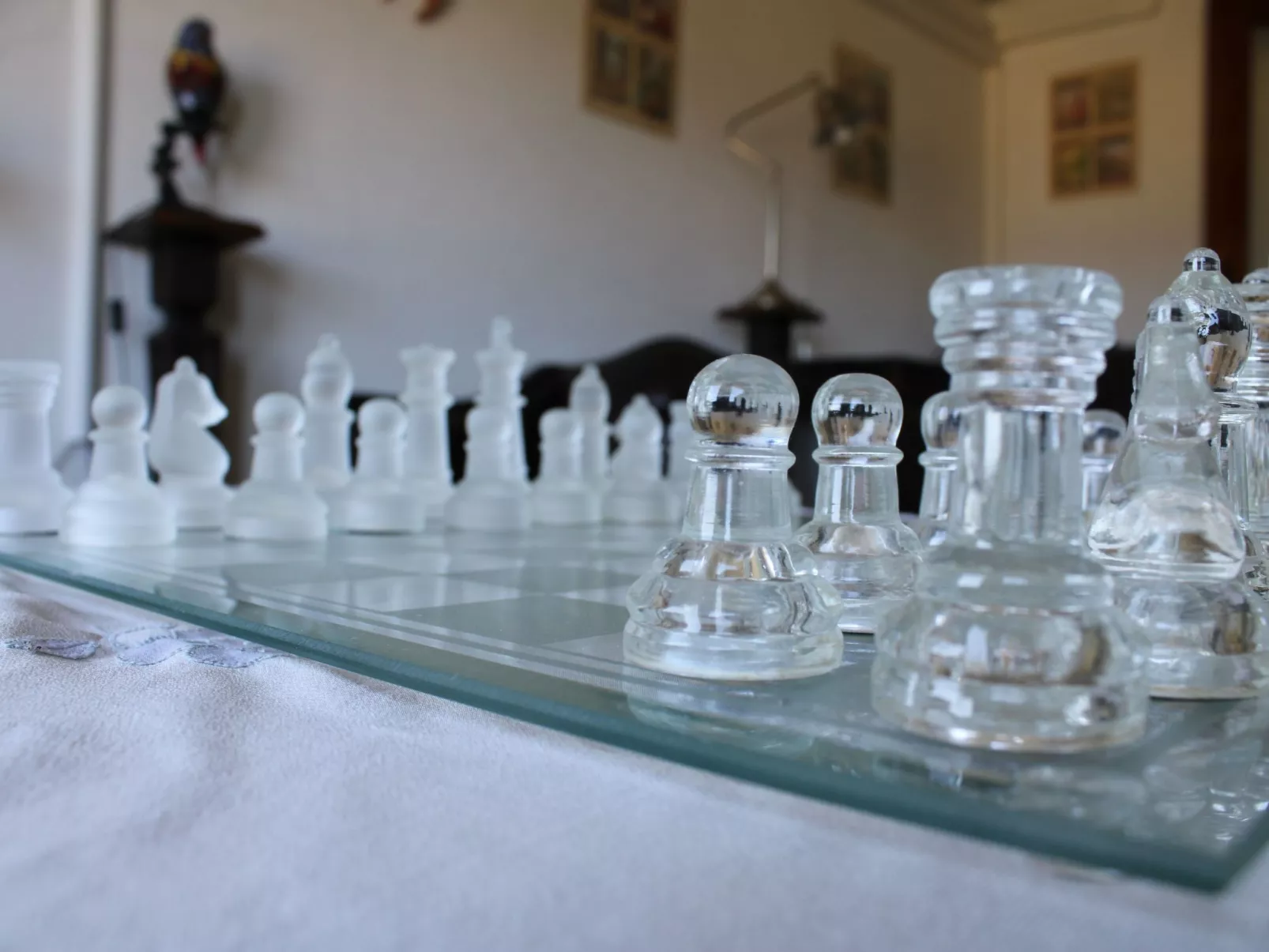 Flache Kornblume-Binnen