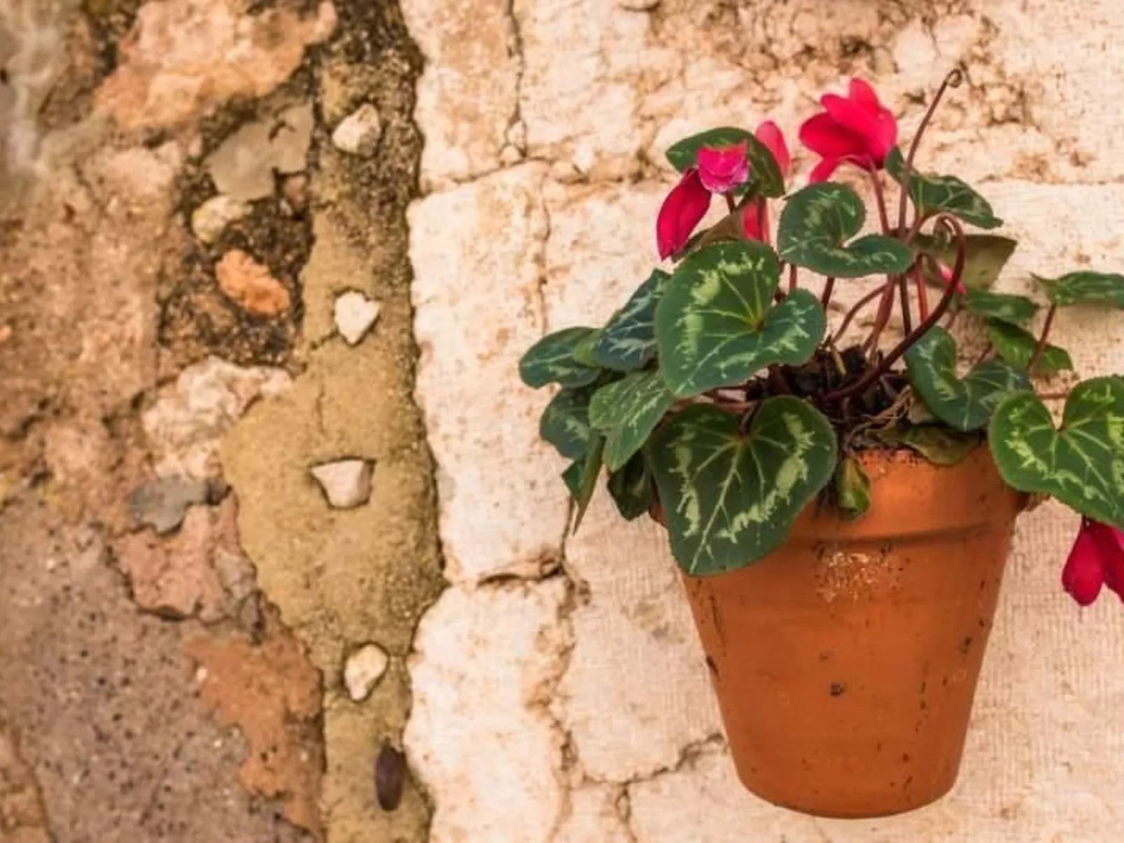 Das Haus von Macarena-Image-tags.info