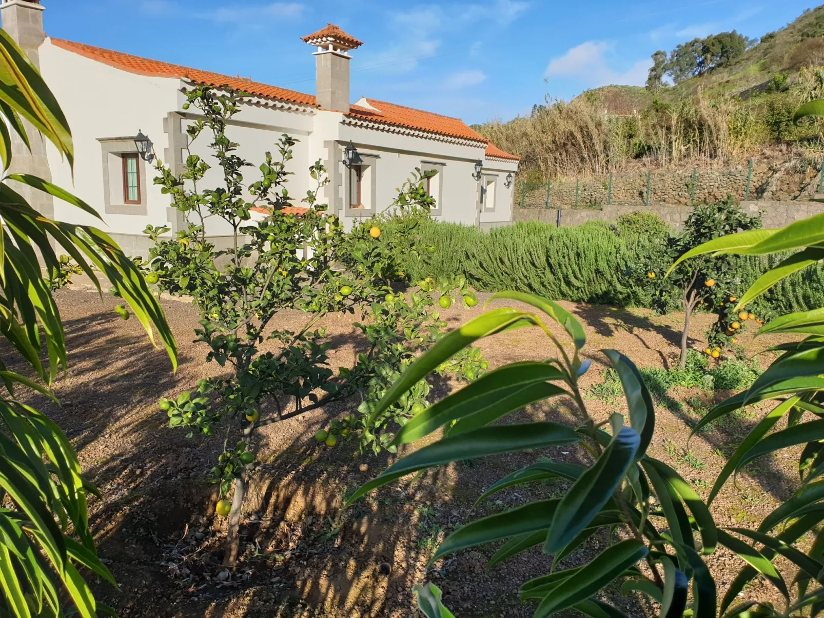 Villa Lucas mit Gartenterrasse und Schwimmbad-Buiten