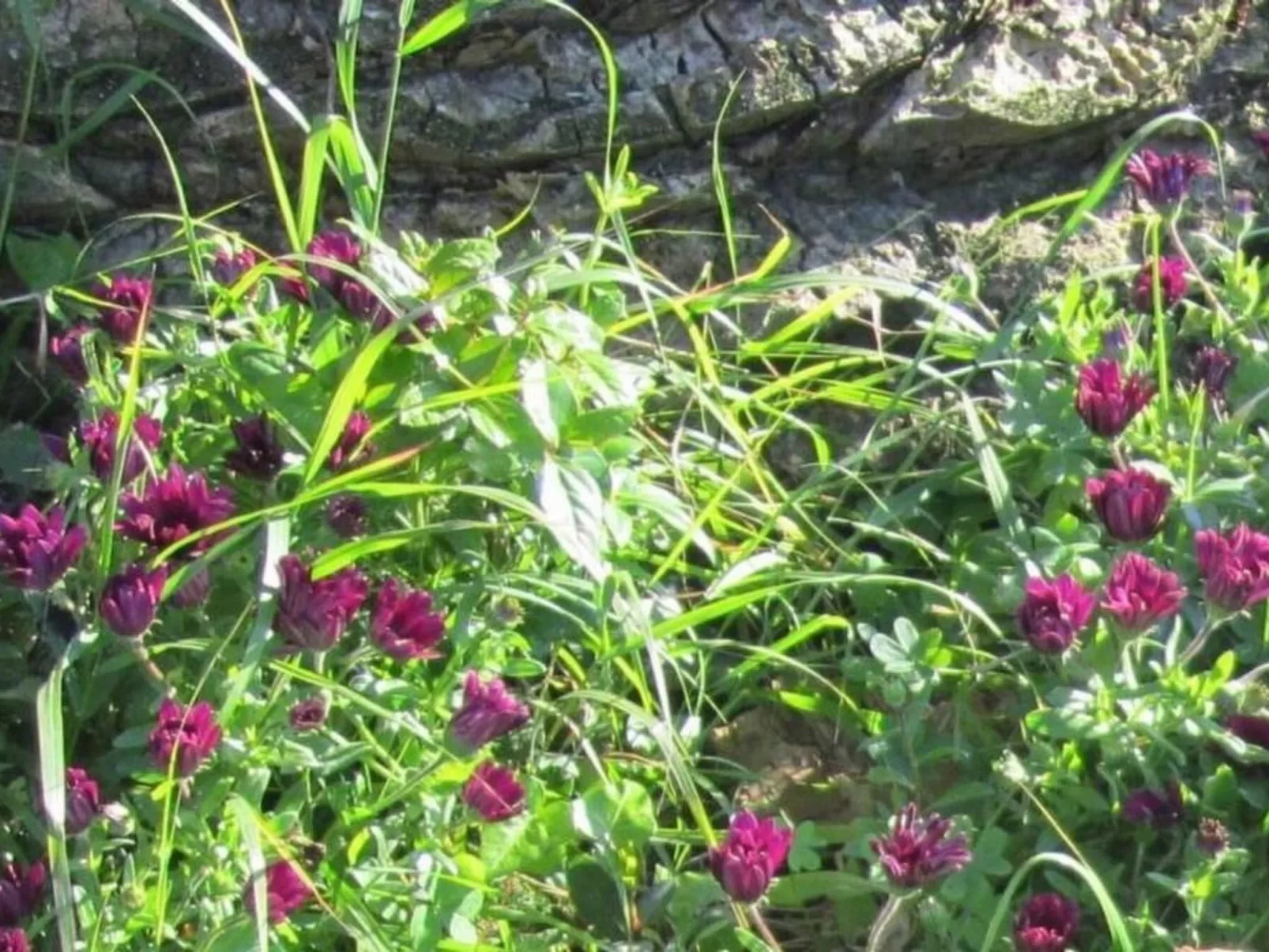 Wohnung mit Wasserblick-Image-tags.info