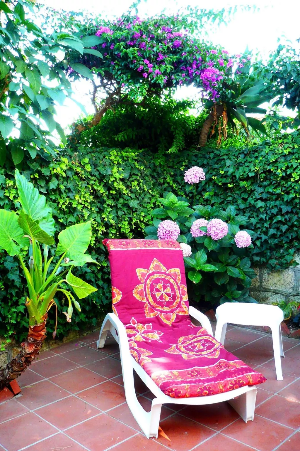 La Terrazza-Image-tags.info