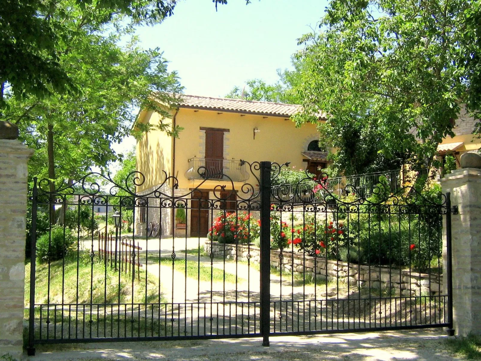 Girasoli in Cagli-Image-tags.info